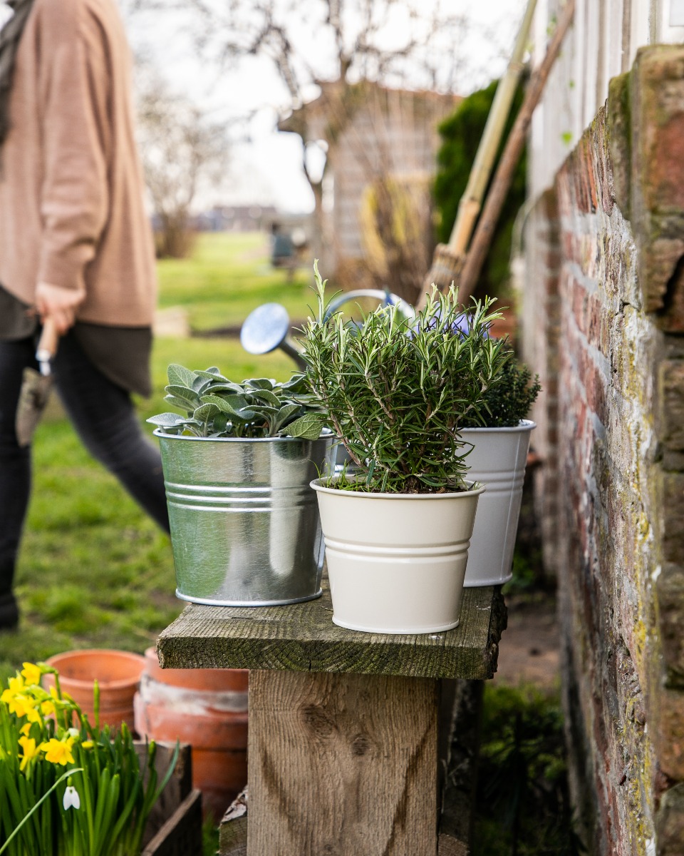 Préparez votre jardin pour le printemps
